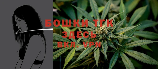 PSILOCYBIN Гусиноозёрск
