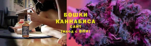 стаф Гусь-Хрустальный