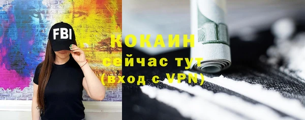 кокс Гусев