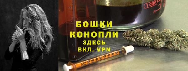 стаф Гусь-Хрустальный