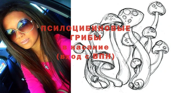 кокс Гусев