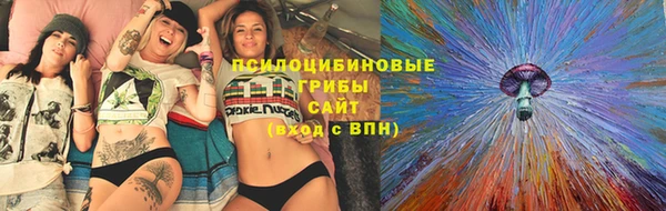 кокс Гусев