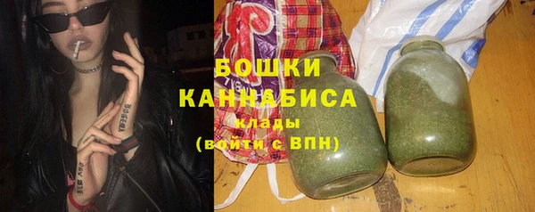 стаф Гусь-Хрустальный
