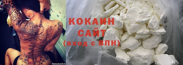 кокс Гусев